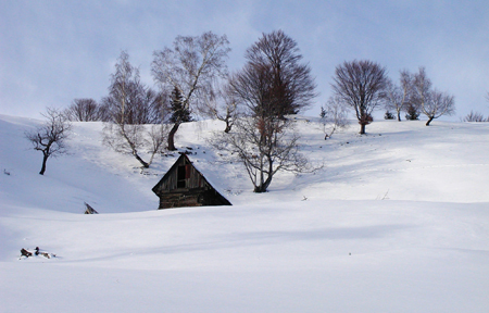 winter storm